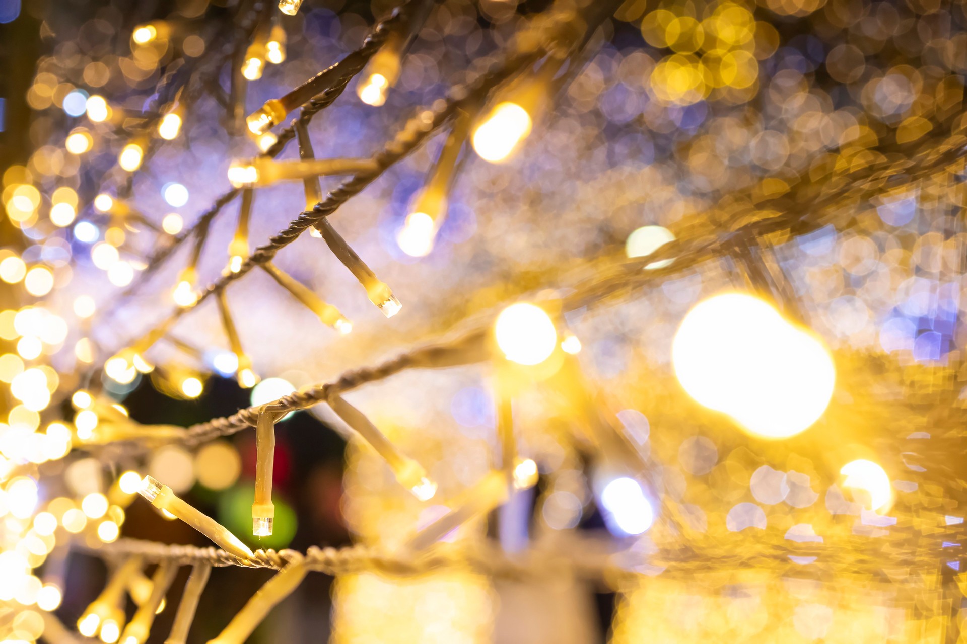 Christmas lights